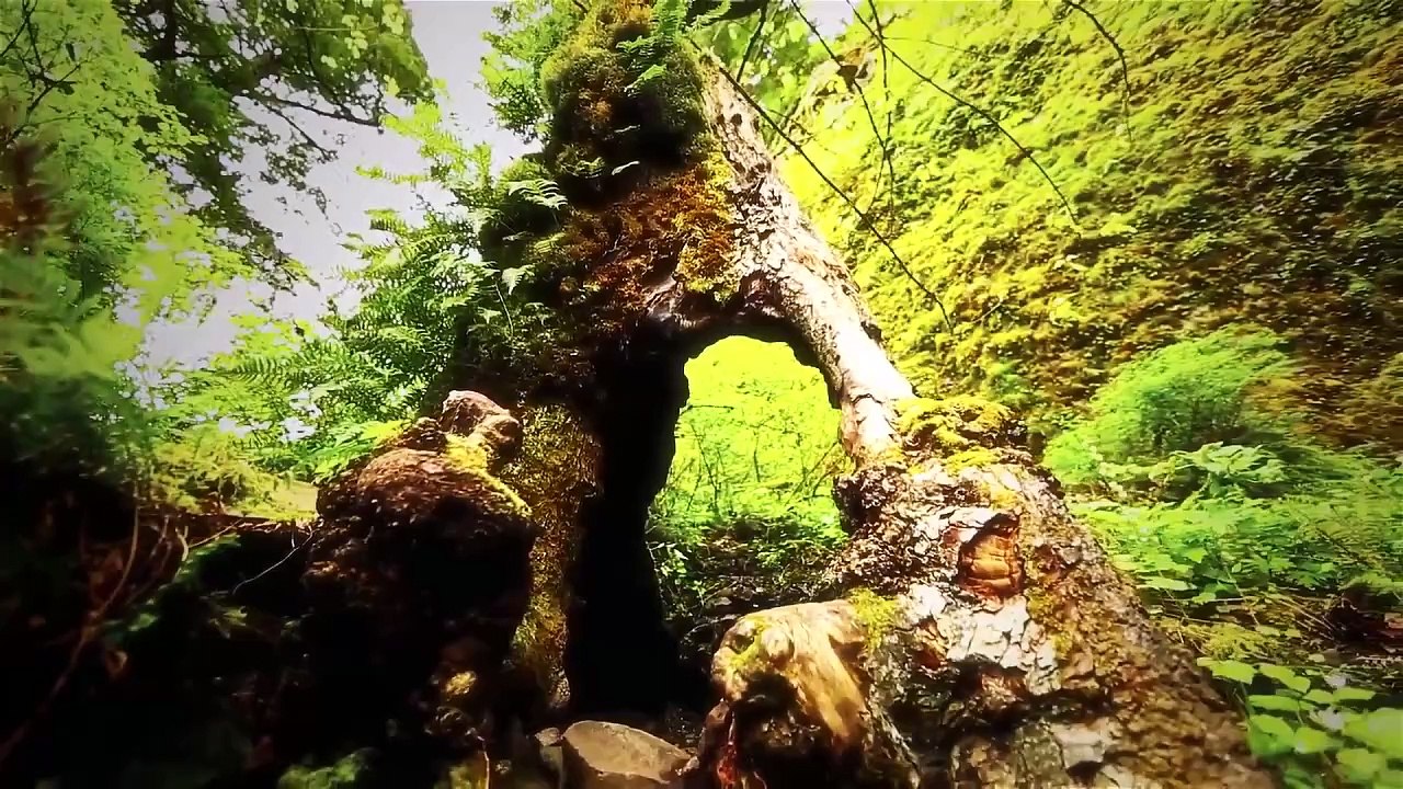 The Never Played Symphonies