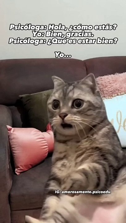 Gatico