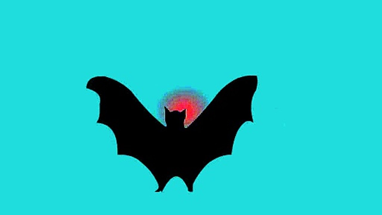 MUSIC BRUTAL CHAUVE SOURIS