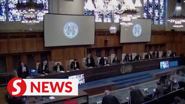 What is South Africa's genocide case against Israel?