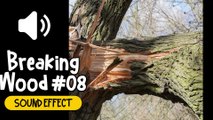 Breaking Wood #08 Sound Effect