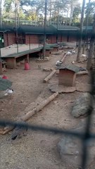 Walking in the Park Of İstanbul Doğa ve Yaşam Kompleksi