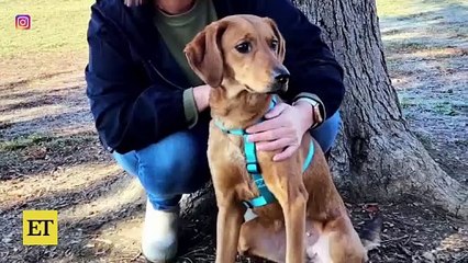 Sister Wives’ Meri Brown Welcomes NEW ADDITION After Kody Split