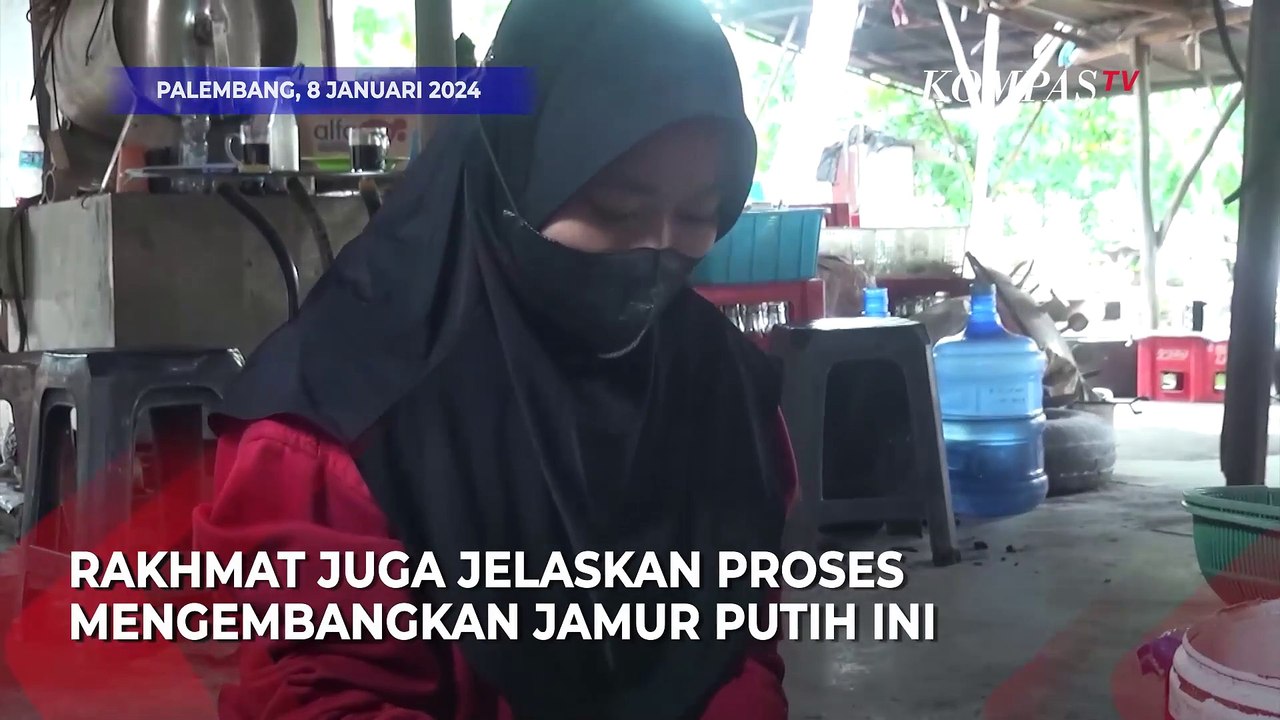Menjadikan Budidaya Jamur sebagai Gaya Hidup Sehat dan Berkelanjutan
