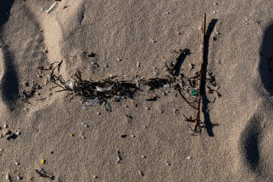 Los pellets de la costa gallega abren el conflicto entre la Xunta y la Moncloa