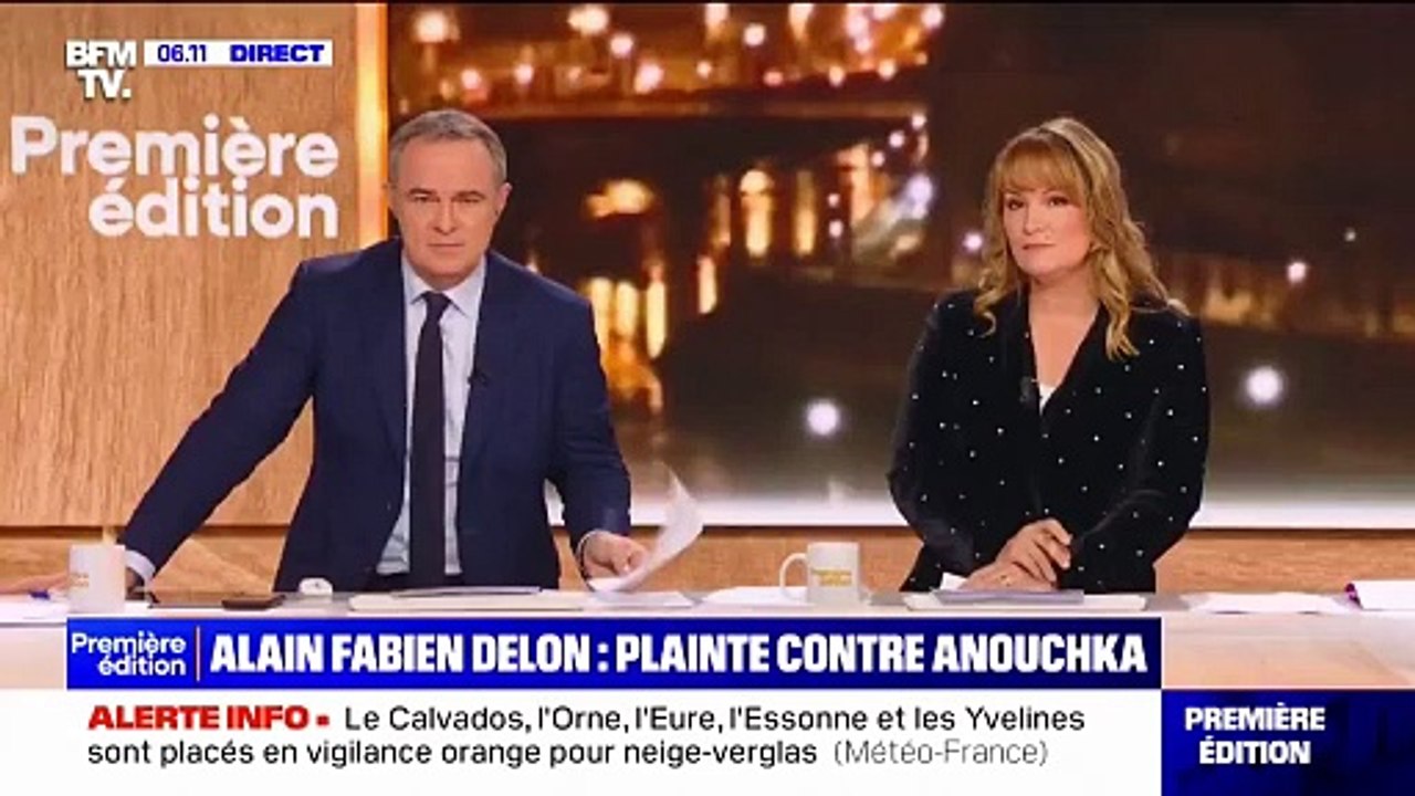 Colère d'Alain-Fabien Delon après le témoignage de l'ancien garde du corps de son père dans "TPMP": "Ma soeur envoie des bodyguards me surveiller, déformer la réalité, déformer des propos" - VIDEO