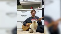 Türkü dinlerken kendinden geçen kedi sosyal medyada büyük ilgi gördü