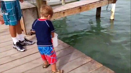 Cet enfant pensait nourrir des poissons mais attendez la suite