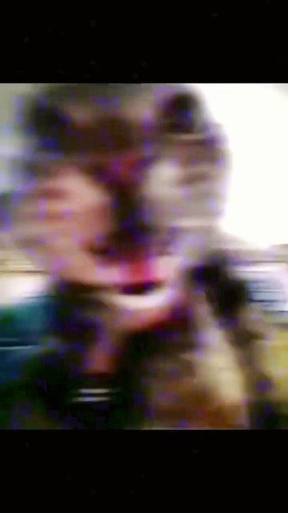 Cat phonk