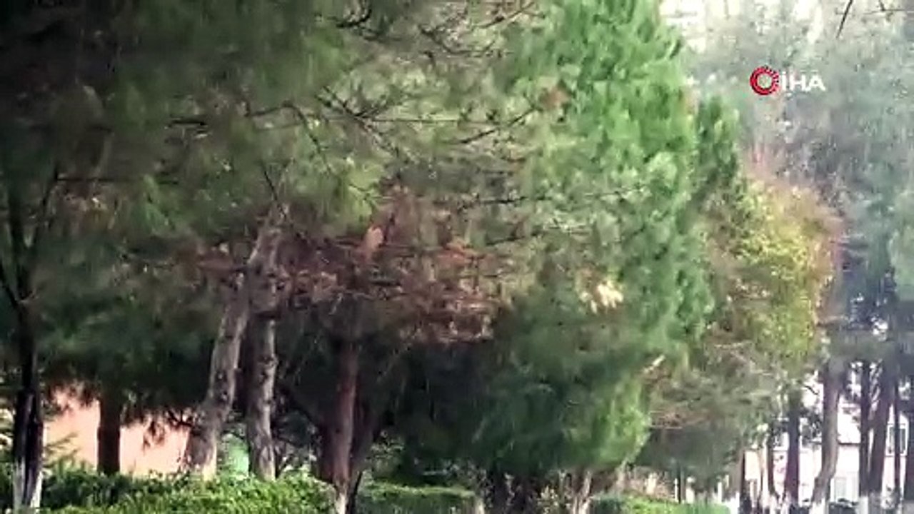 İstanbul'da kar başladı!