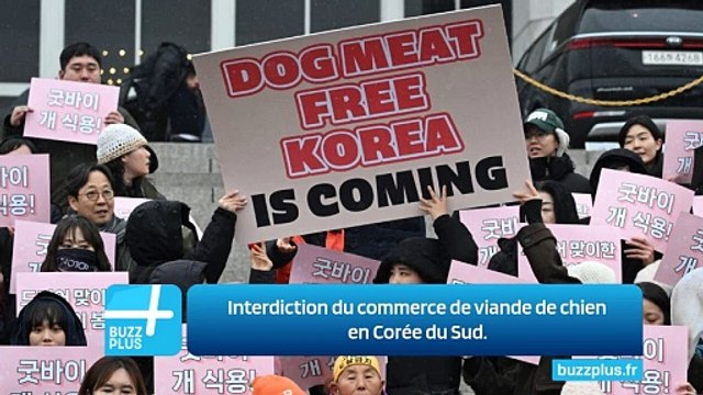 Interdiction du commerce de viande de chien en Corée du Sud.