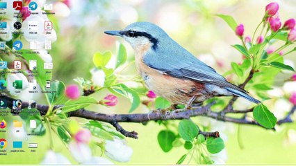 How to Download Your Ayushman Card in Assam 2023 🏥