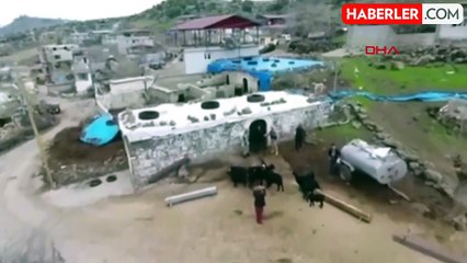 Kilis'te Kaybolan Keçiler Dron ile Bulundu