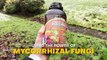Mycorrhizae Liquid: Rooting for Healthy Soil and Happy Plants
