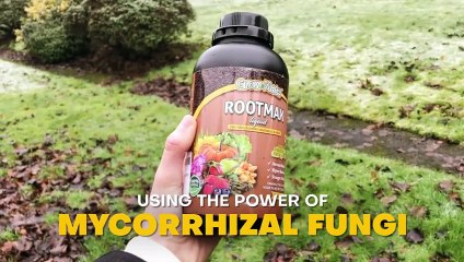 Mycorrhizae Liquid: Rooting for Healthy Soil and Happy Plants