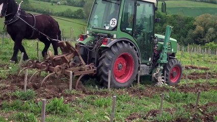 Prendre soin de la Terre Bande-annonce VF