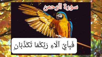Surah RAHMAN (The Beneficent) سورة الرحمن