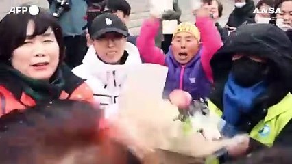 Consumo alimentare di carne di cane vietato in Corea del Sud