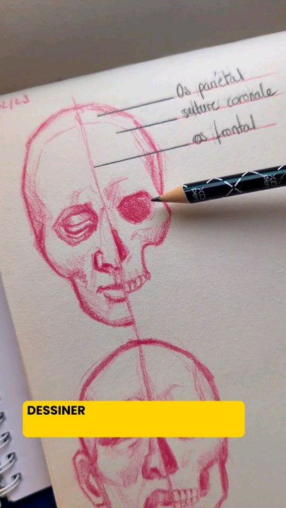 ✏️ TUTO : Dessiner le crâne