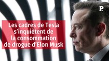 Les cadres de Tesla s’inquiètent de la consommation de drogue d’Elon Musk