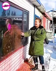 totally random funny video