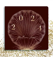 Le Cabinet Novalegem vous présente ses meilleurs voeux pour 2024 !