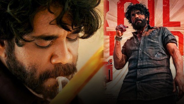 Naa Saami Ranga Trailer టాలెంట్ పట్టిన Nag.. ఆ రిస్క్ ఎవ్వరూ చెయ్యలేరు | Telugu Filmibeat