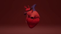 Cardiopatie nei bambini, ecco come riconoscerle