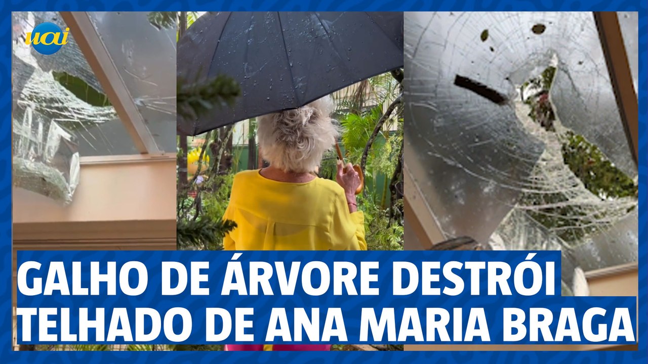 Galho de árvore destrói telhado de Ana Maria Braga e apresentadora se revolta com prefeitura