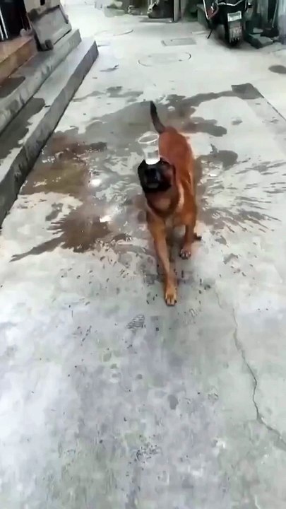 Moj kar di bete