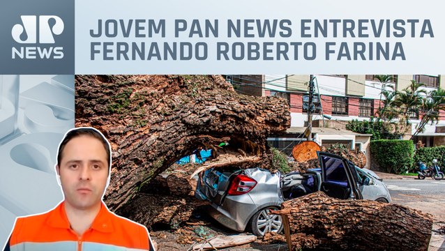 Porta-voz da Defesa Civil de SP fala sobre queda de árvores e falta de energia após chuvas