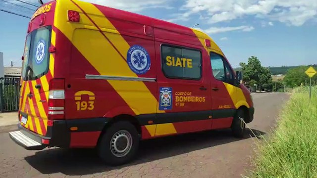 Acidente envolvendo moto e cachorro deixa jovem ferido no XIV de Novembro