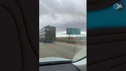 La Guardia Civil localiza y multa al camionero que circulaba con una cabra en el techo en Toledo