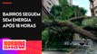 200 árvores caíram na cidade de São Paulo por conta das chuvas desta segunda (08)
