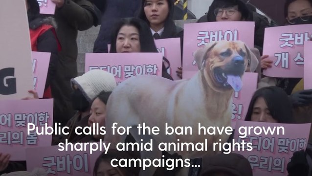 Moment South Korean parliament endorses landmark legislation banning dog meat industry