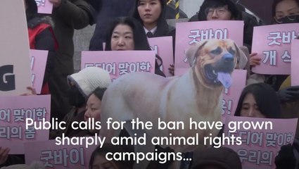 Moment South Korean parliament endorses landmark legislation banning dog meat industry