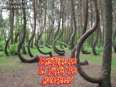 L'histoire de la forêt de Hoia-Baciu. Mystery #paranormal #trending #France #horreur #histoire #terrifiante #fantômes