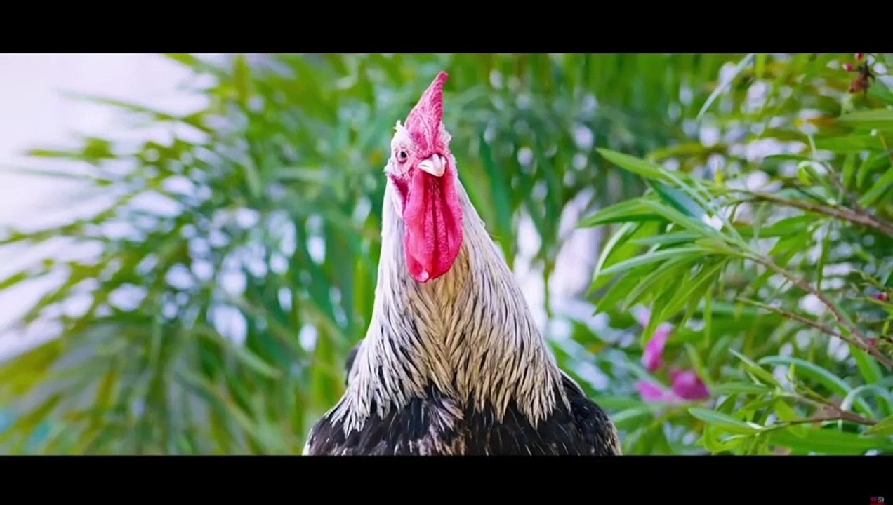 Valatty- Tale of Tails (വാലാട്ടി) - 2023 - Movie Trailer - English Subtitles