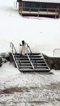 Woman Descends Stairs in Skis