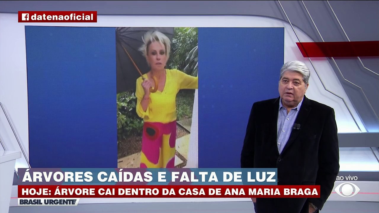 Árvore cai na casa de Ana Maria Braga durante chuva em SP