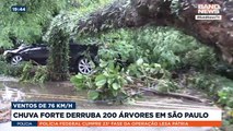 Chuva forte derruba 200 árvores em São Paulo