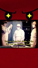 Chocs : Expériences Cruelles sur les Animaux en Russie 🐾