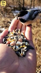 Love has no name || Acharya Prashant