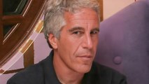 Here's Who Inherited Jeffrey Epstein's Fortune After His Death