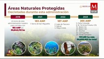 Suman 225 Áreas Naturales Protegidas; 43 se han decretado durante gobierno de AMLO
