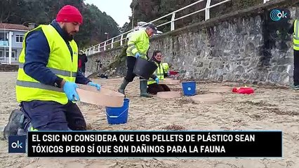 El CSIC: Pellets de plástico no tóxicos, pero peligrosos para la fauna 🐾