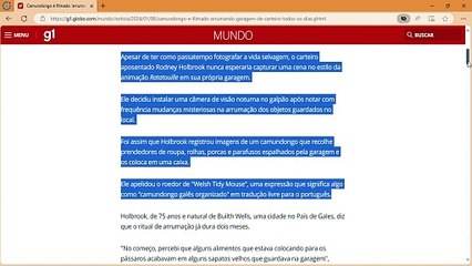 Camundongo é filmado 'arrumando' garagem de carteiro todos os dias