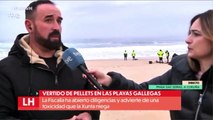 Así utiliza RTVE al hermano de una podemita para politizar el vertido de 'pellets'