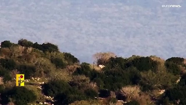 شاهد: حزب الله ينشر فيديو يقول إنه لاستهداف دبابة إسرائيلية