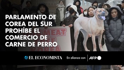 Parlamento de Corea del Sur prohíbe el comercio de carne de perro